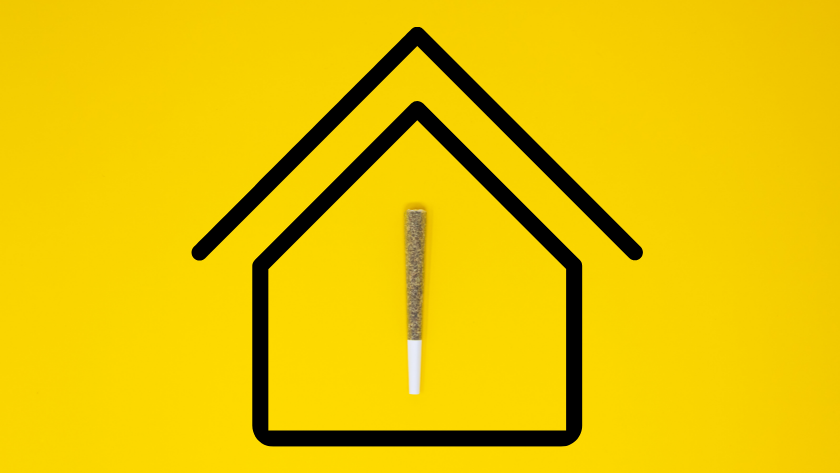 Cannabis joint inside a simple house outline on a bright yellow background