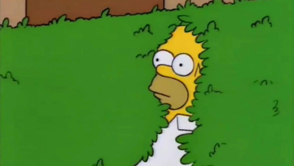 Homer Simpson peeking through a green hedge with a surprised expression on his face.