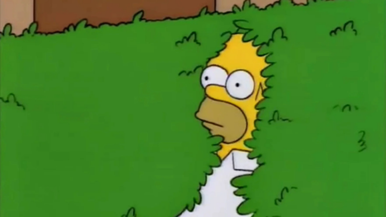 Homer Simpson peeking through a green hedge with a surprised expression on his face.