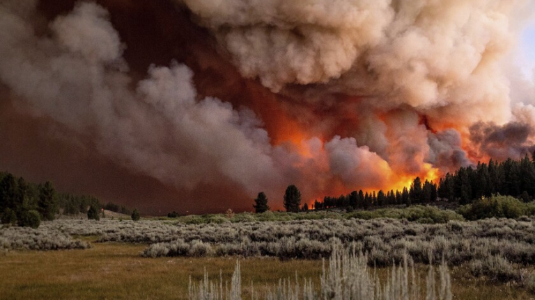 Wildfire with bright orange flames and thick smoke rising over a sagebrush field and trees at the horizon, under a smoky sky.