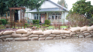 Flood barrier of stacked burlap sandbags along a flooded yard in front of a house with a garden and trellis.