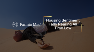 Man lying on a sand dune next to the Fannie Mae logo and the headline 'Housing Sentiment Falls Nearing All Time Low' with gold corner accents, on a dark blue sky background.