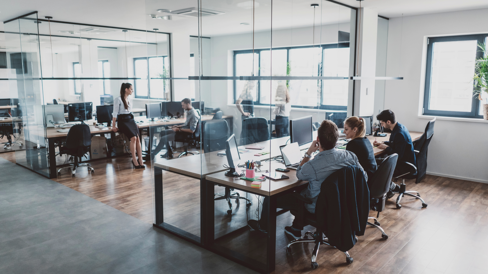 Open-plan office with glass partitions and coworkers at desks working on laptops in a bright, modern space with large windows and plants nearby.
