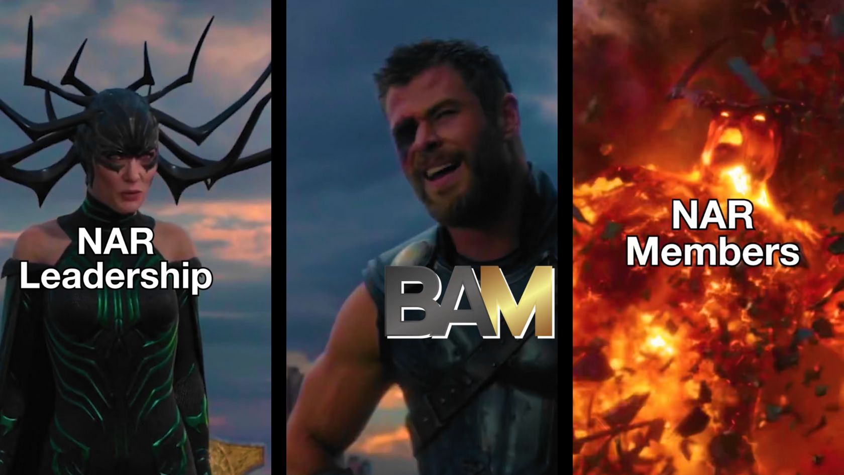 Meme collage with three panels: left shows a woman in dark armor labeled 'NAR Leadership', middle shows a smiling man with a bold 'BAM' overlay, right shows a fiery explosion labeled 'NAR Members'.