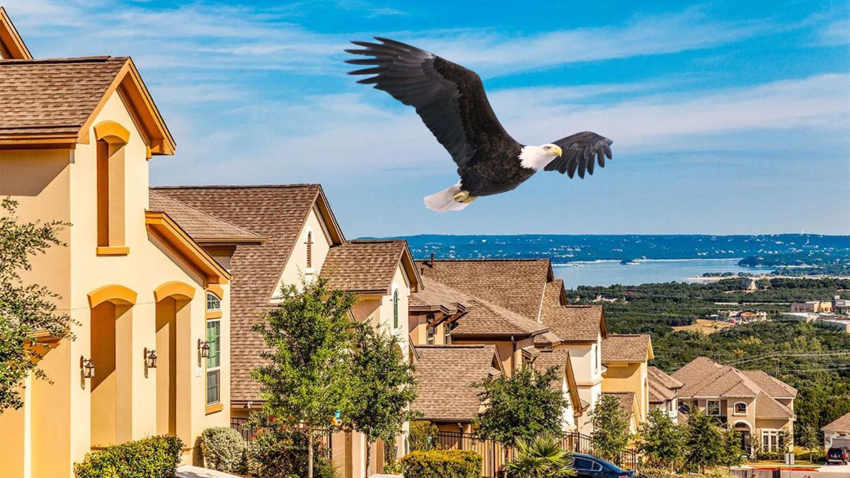 Bald eagle soaring above a row of beige houses with brown roofs, under a blue sky over the suburb.