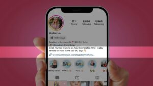 Instagram profile screen for Lindsey Jo showing profile pic, posts, followers, following and bio link area