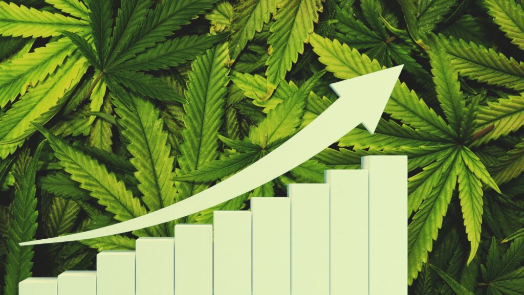 Rising bar chart over a background of cannabis leaves, symbolizing growth in the cannabis market or industry