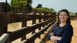 Featured-image_On-the-fence-sellers_Lisa-Chinatti