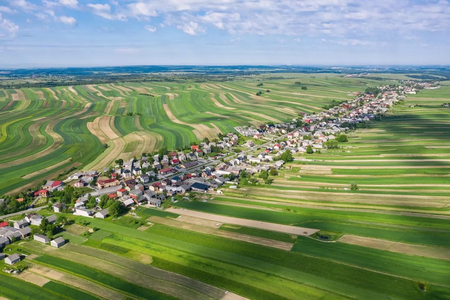 Poland-2-Suloszowa