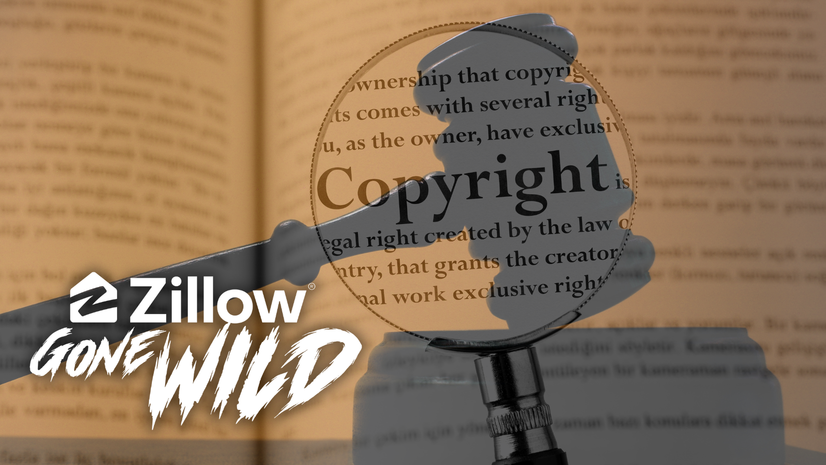 Zillow Gone Wild Sued for Alleged Copyright Infringement