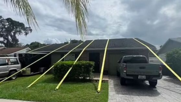 Hurricanes Helene and Milton’s Impact on Homeowners