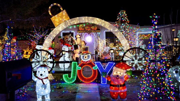 The Grinch of the Holidays HOA Christmas Lights Complaints