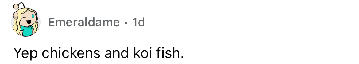 Reddit-comment8
