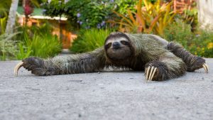 5-Questions-to-Ask-When-the-Market-Feels-Slow_BAM-featured-image