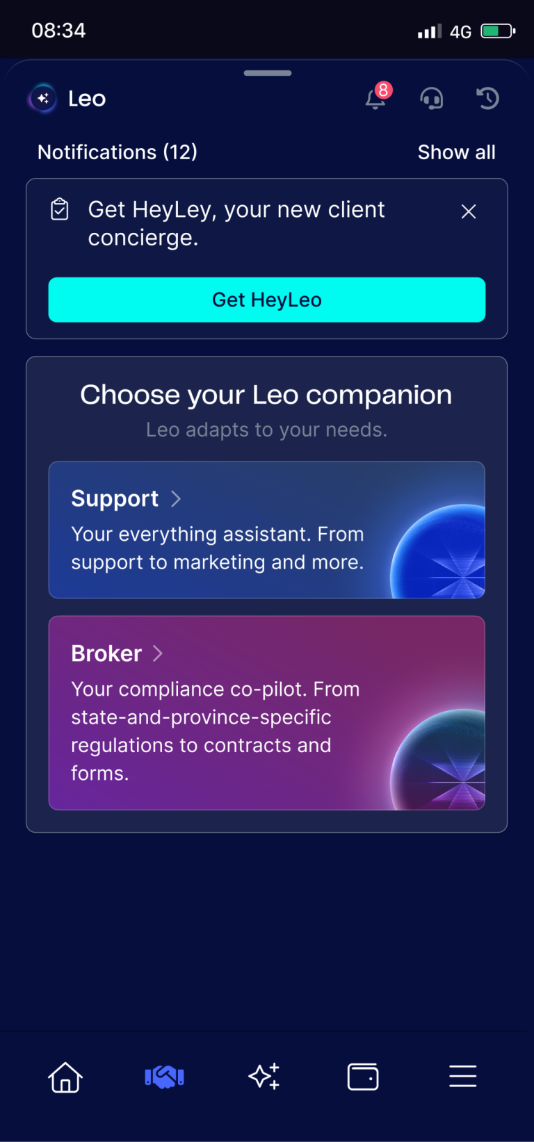 Leo-CoPilot-image