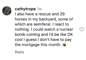 “Okay, Keep Me Posted”: Agents Share the Disasters They’ve Learned to Shrug Off 22 “Okay, Keep Me Posted”: Agents Share the Disasters They’ve Learned to Shrug Off