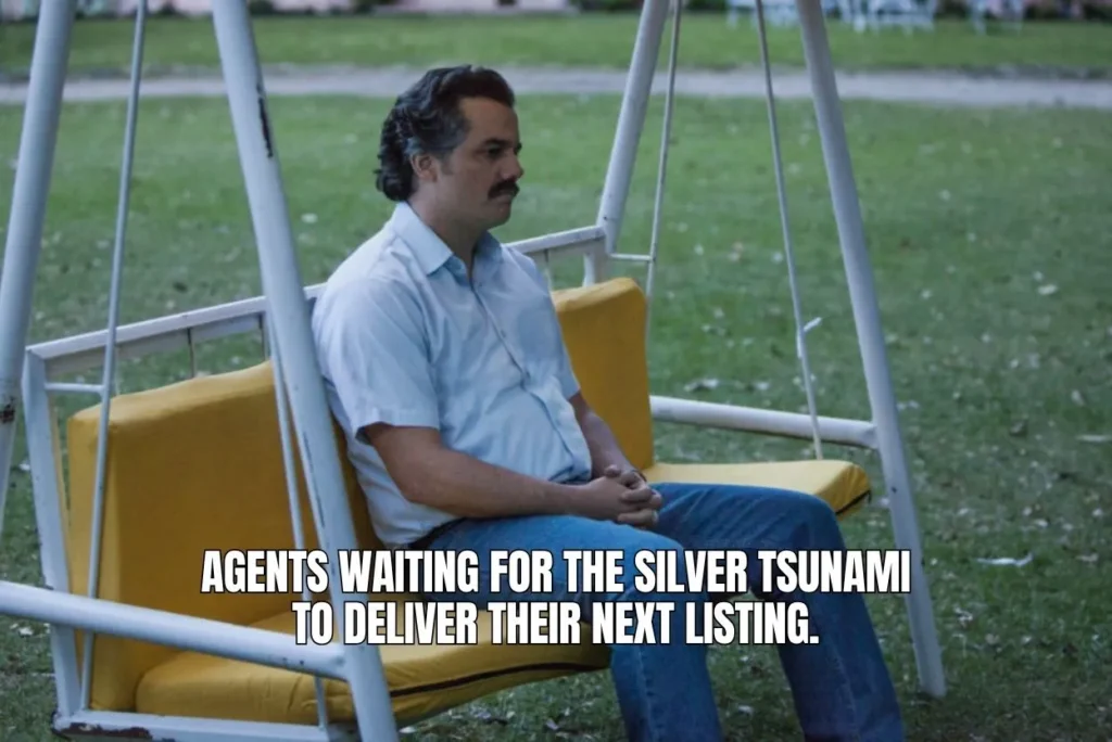 Dont-Wait-for-the-Silver-Tsunami-3-Ways-to-Win-Boomer-Listings_BAM-featured-image